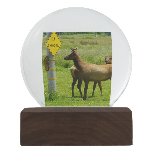 Elk Crossing California Wildlife Snow Globe (Front)