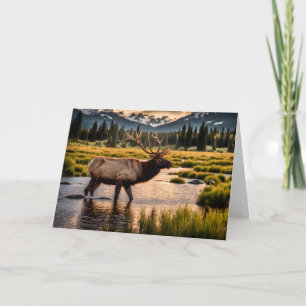 Elk Crossing the River Birthday Card