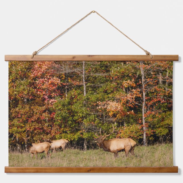 Elk Custom 26"x36" Vertical (Portrait), One Panel Hanging Tapestry (Front)