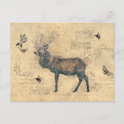 Elk Decoupage Vintage Ephemera  Postcard
