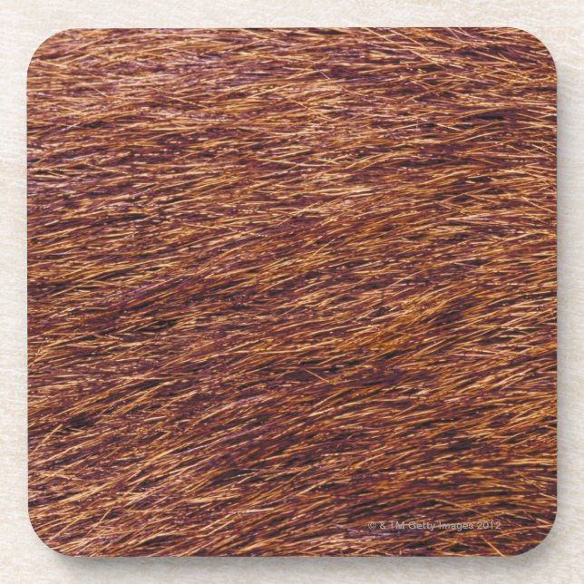 Elk fur drink coaster (Front)