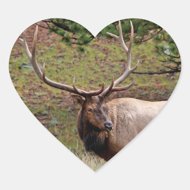 Elk Heart Sticker (Front)