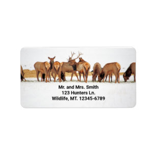 Elk Herd Address Label