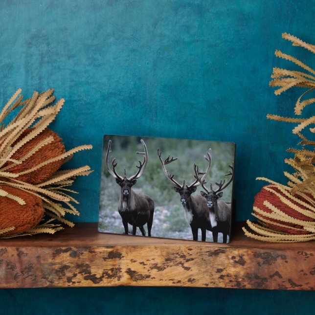 Elk Herd | Mt. Baring, Washington Plaque (Side)