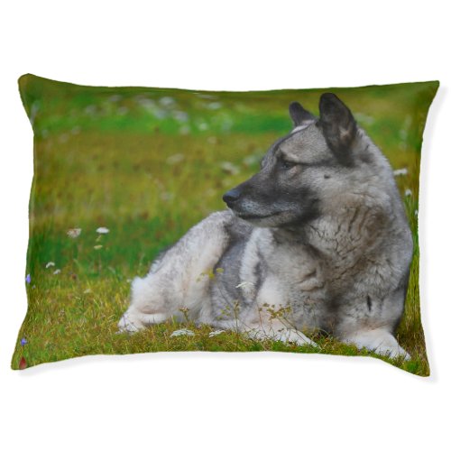 Elk Hound Pet Bed