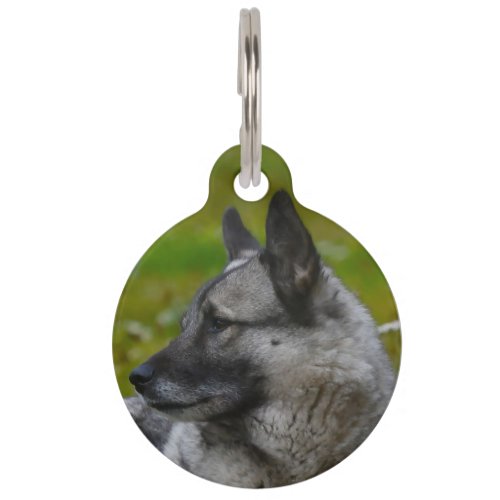 Elk Hound Pet ID Tag