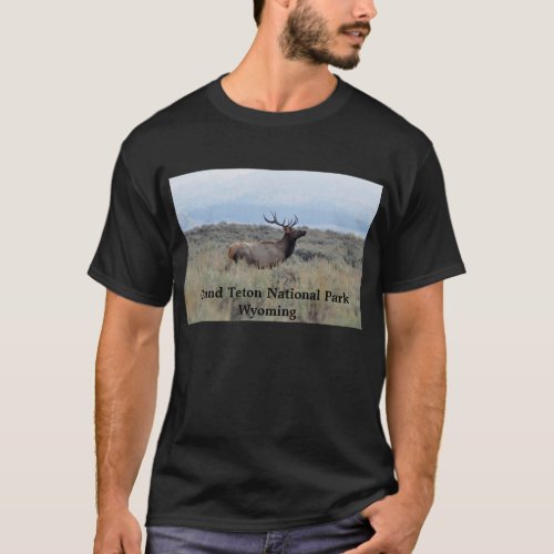 Elk in Grand Teton National Park T_Shirt