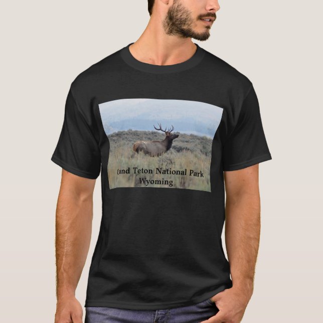 Elk in Grand Teton National Park T-Shirt (Front)