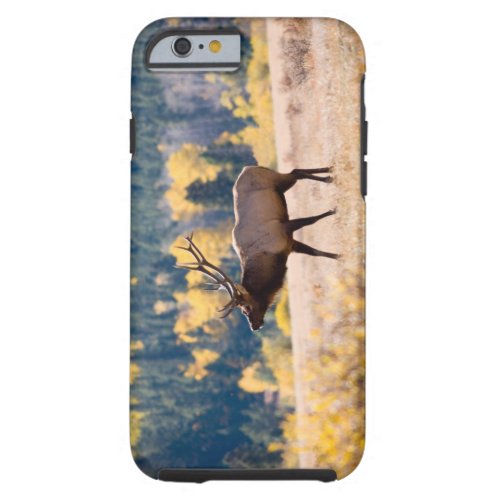 Elk in Rocky Mountain National Park Colorado Tough iPhone 6 Case