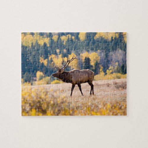 Elk in Rocky Mountain National Park Colorado Jigsaw Puzzle