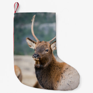 ELK IN ROCKY MOUNTAIN NATIONAL PARK - ELK HERDS GR SMALL CHRISTMAS STOCKING