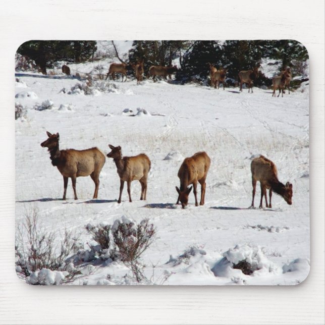 Elk in snow mousepad (Front)