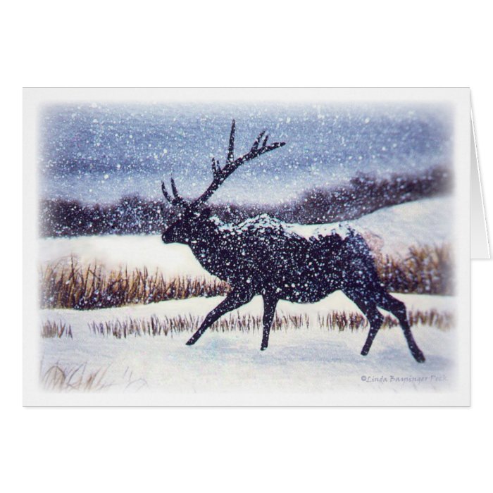 Elk in the Snow Greeting Cards