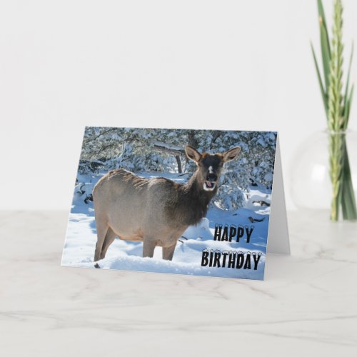 Elk in the Snow Happy Birthday Greeting Card