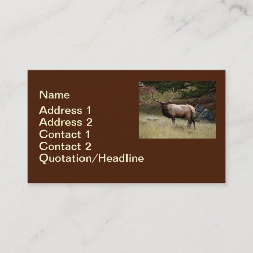 Elk in the Wild Business Card Templates