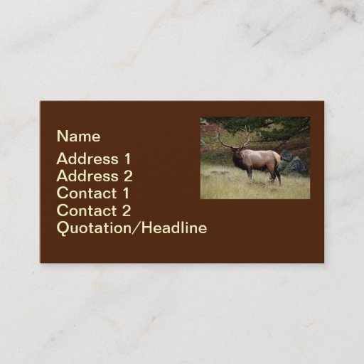 Customizable Elk in the Wild Business Card Templates