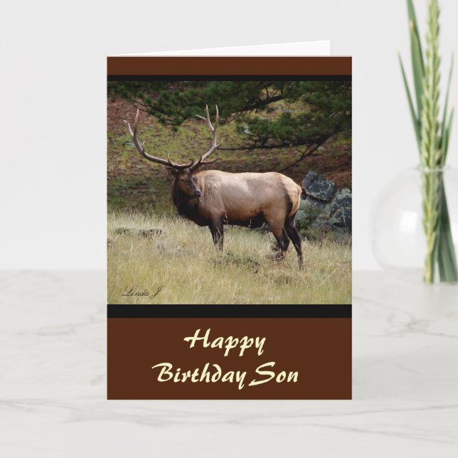 Elk in the Wild Card (Front)