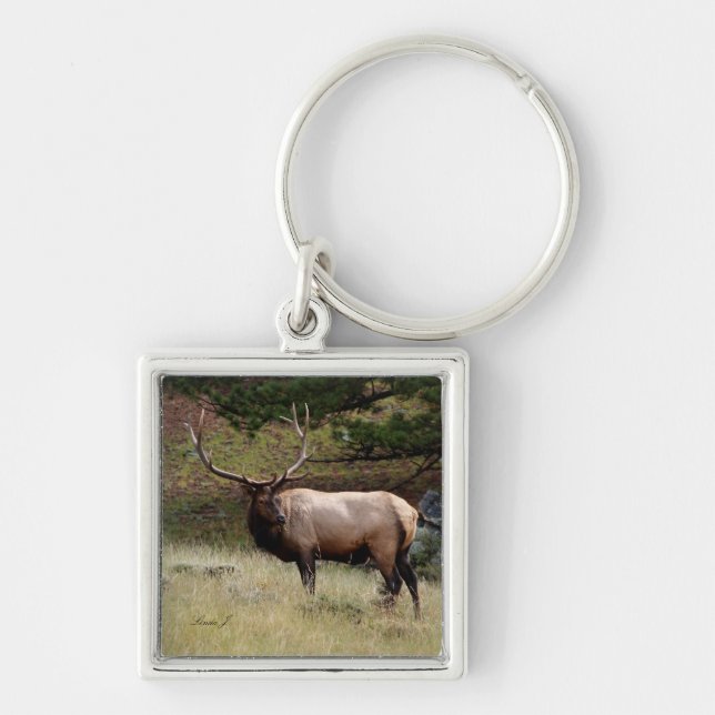 Elk in the Wild Keychain (Front)
