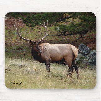 Elk in the Wild Mousepad