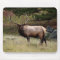 Elk in the Wild Mousepad
