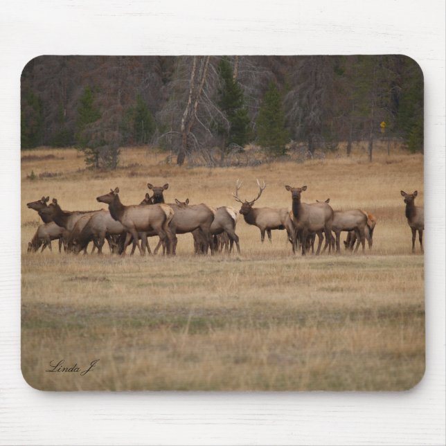 Elk in the Wild Mousepad (Front)