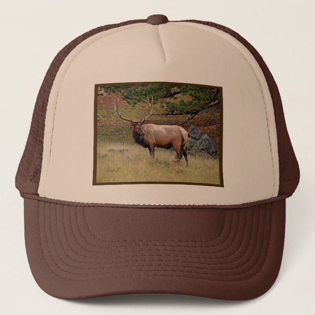 Elk in the Wild Trucker Hat (Front)