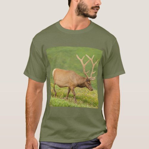 Elk in velvet walking Colorado T_Shirt