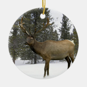 Elk in Winter Ornament