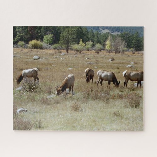 Elk jigsaw puzzle