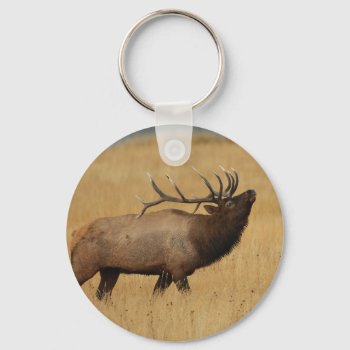 Elk Keychain by WorldDesign at Zazzle