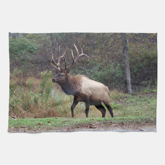 Elk Kitchen Towel (Horizontal)