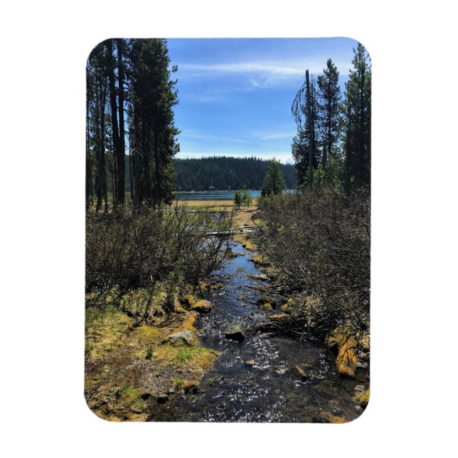 Elk Lake, OR Magnet (Vertical)