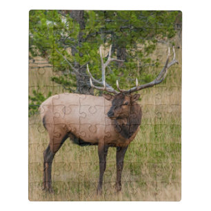 Elk Lake Village Yellowstone National Park Wyoming Jigsaw Puzzle