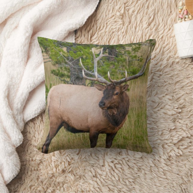 Elk Lake Village Yellowstone National Park Wyoming Throw Pillow (Blanket)