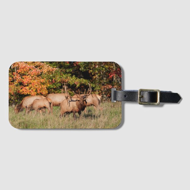 Elk Luggage Tag (Front Horizontal)