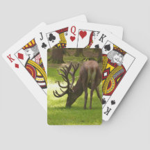 elk mammal wildlife playing cards