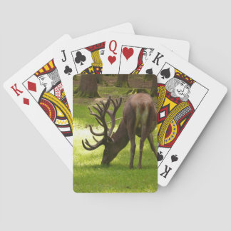 elk mammal wildlife playing cards
