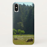 Elk Meadow at Redwood National Park iPhone X Case