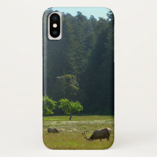 Elk Meadow at Redwood National Park iPhone X Case
