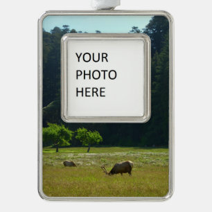 Elk Meadow at Redwood National Park Christmas Ornament
