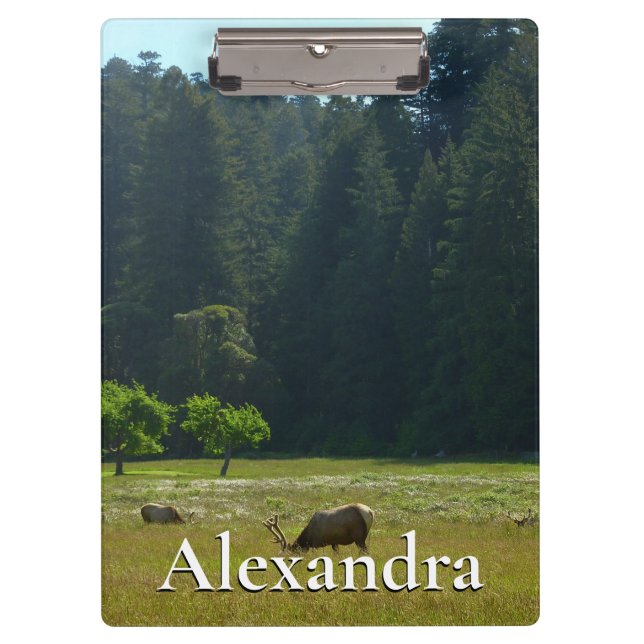 Elk Meadow at Redwood National Park Clipboard (Front)