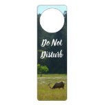 Elk Meadow at Redwood National Park Door Hanger