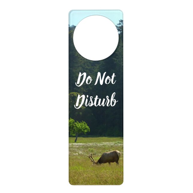 Elk Meadow at Redwood National Park Door Hanger (Front)