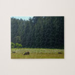 Elk Meadow at Redwood National Park Jigsaw Puzzle