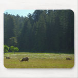 Elk Meadow at Redwood National Park Mouse Pad