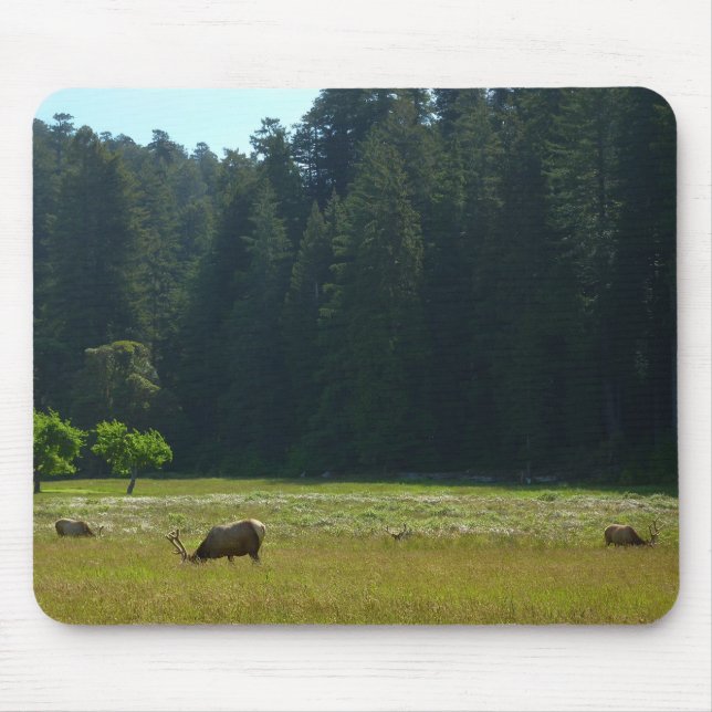 Elk Meadow at Redwood National Park Mouse Pad (Front)