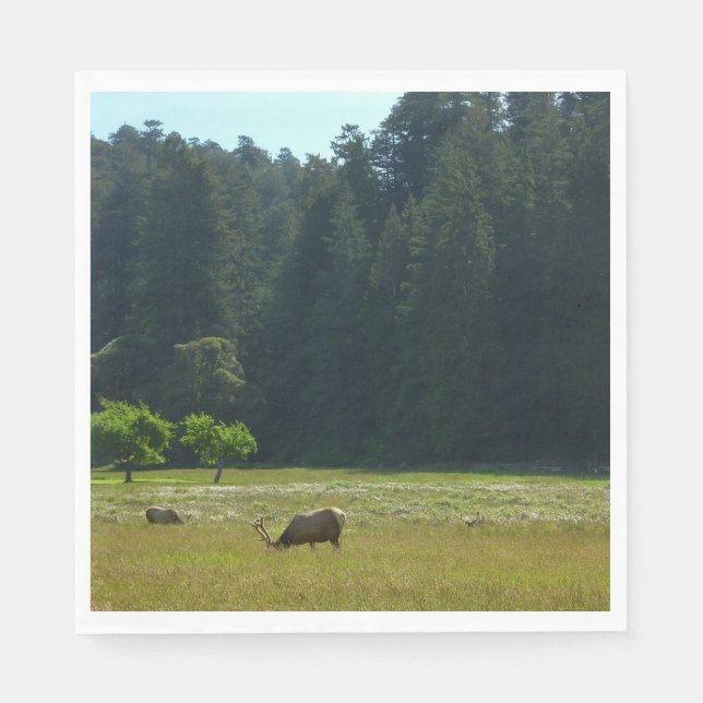 Elk Meadow at Redwood National Park Napkins (Front)