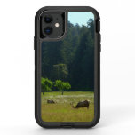 Elk Meadow at Redwood National Park OtterBox Defender iPhone 11 Case