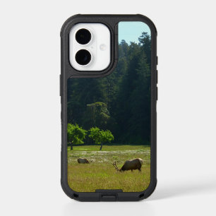 Elk Meadow at Redwood National Park iPhone 17 Case