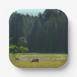 Elk Meadow at Redwood National Park Paper Plates